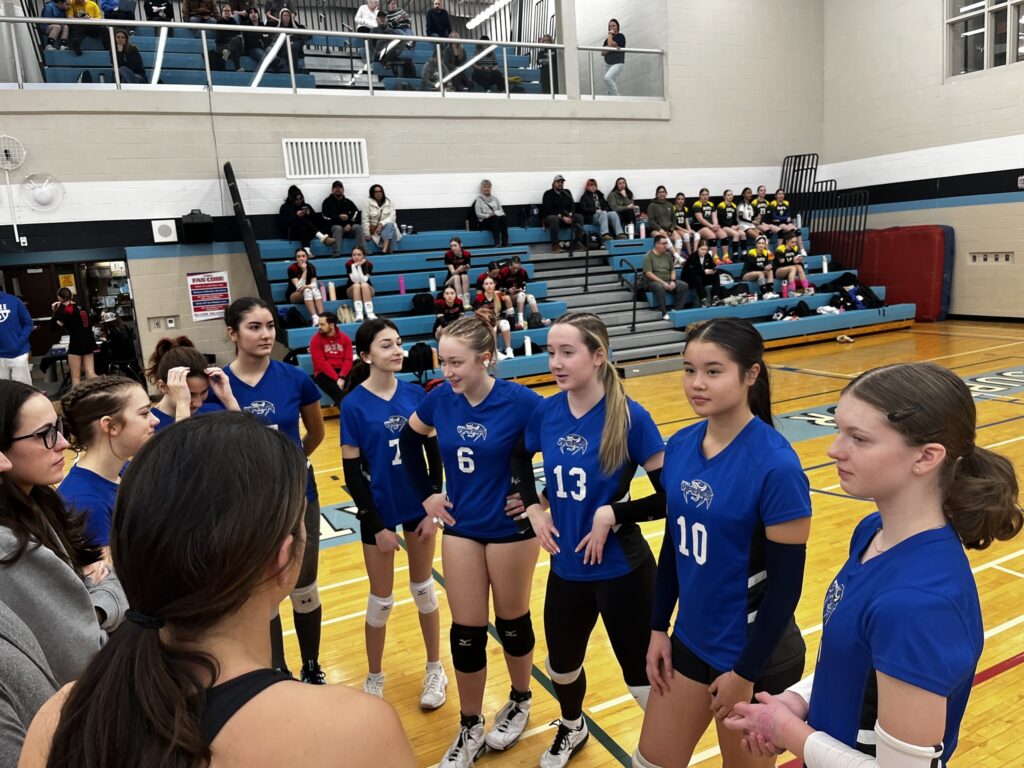 lav_girls_volleyball