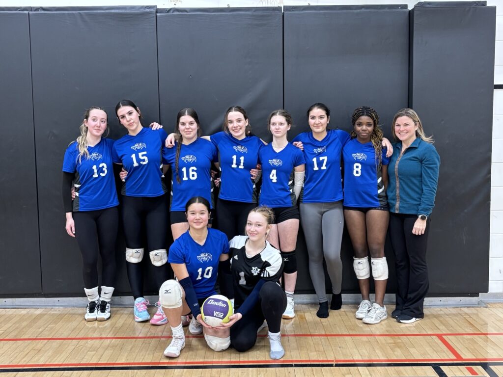 lav_girls_volleyball